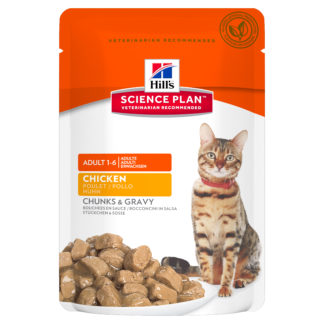 Alimentation Pour Chat Animal City