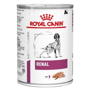animal city RC renal boite